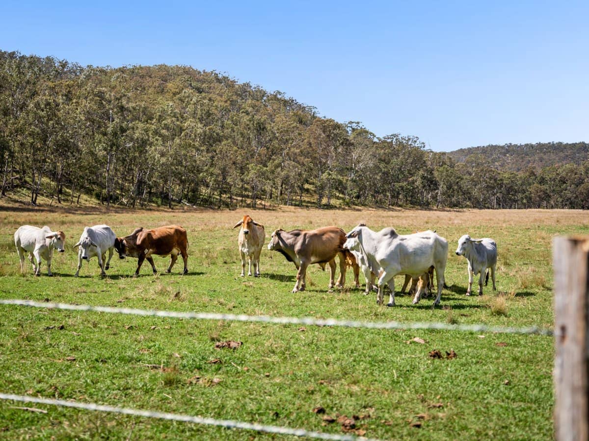 'Yabragunyah' Pilton Valley Road, Upper Pilton - Thumbnail 6