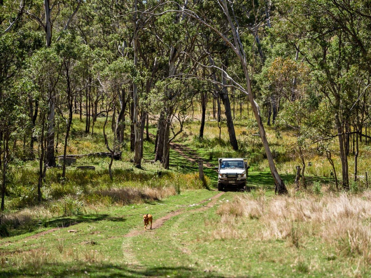 'Yabragunyah' Pilton Valley Road, Upper Pilton - Thumbnail 14