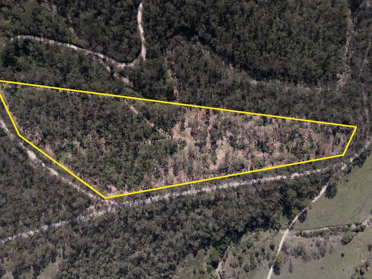 'Banyula' Fifteen Mile Road, Fifteen Mile - Thumbnail 7