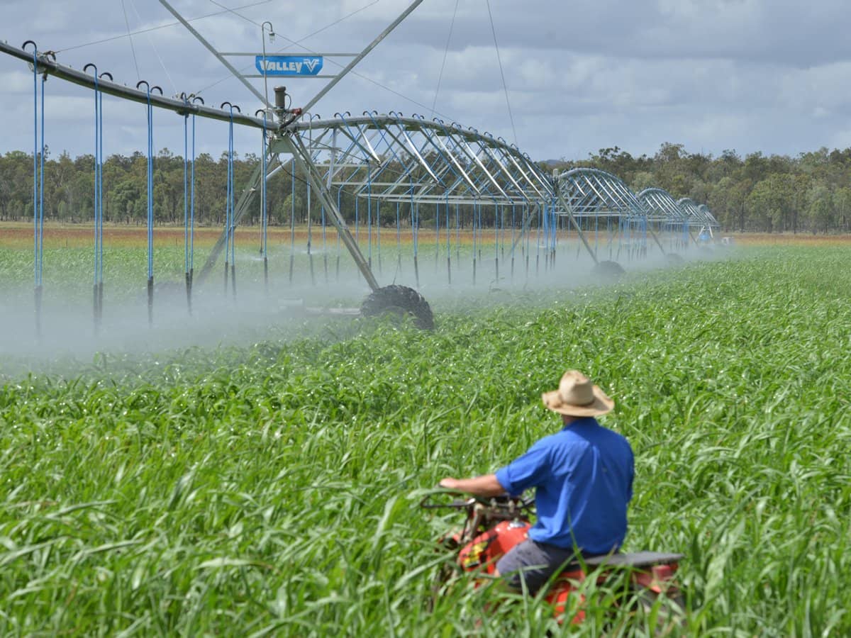 Gowrie Oakey Creek - Water Allocation, BOODUA - Thumbnail 2