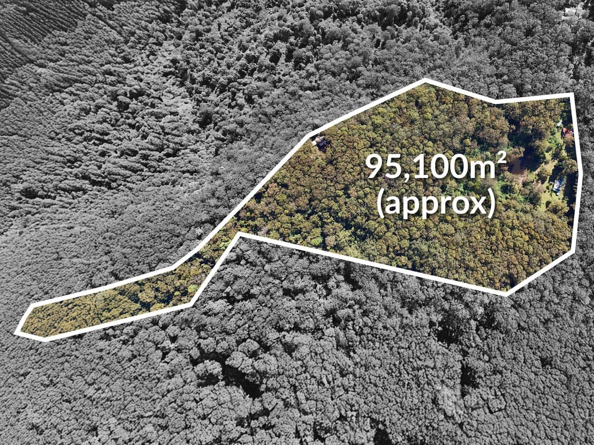 2156 Springbrook Road, SPRINGBROOK - Thumbnail 7