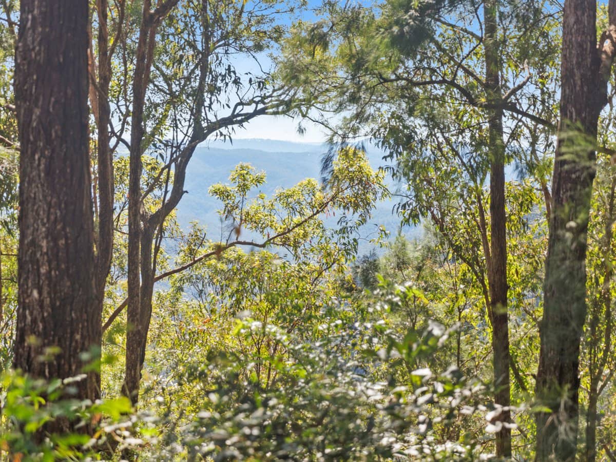 2156 Springbrook Road, SPRINGBROOK - Thumbnail 17