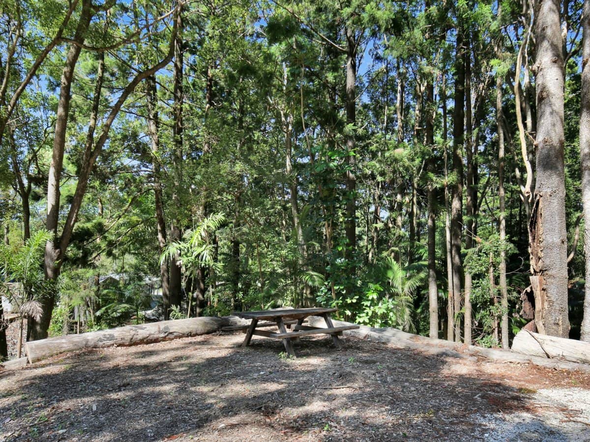 501 Tallebudgera Connection Road, Currumbin Valley - Thumbnail 13