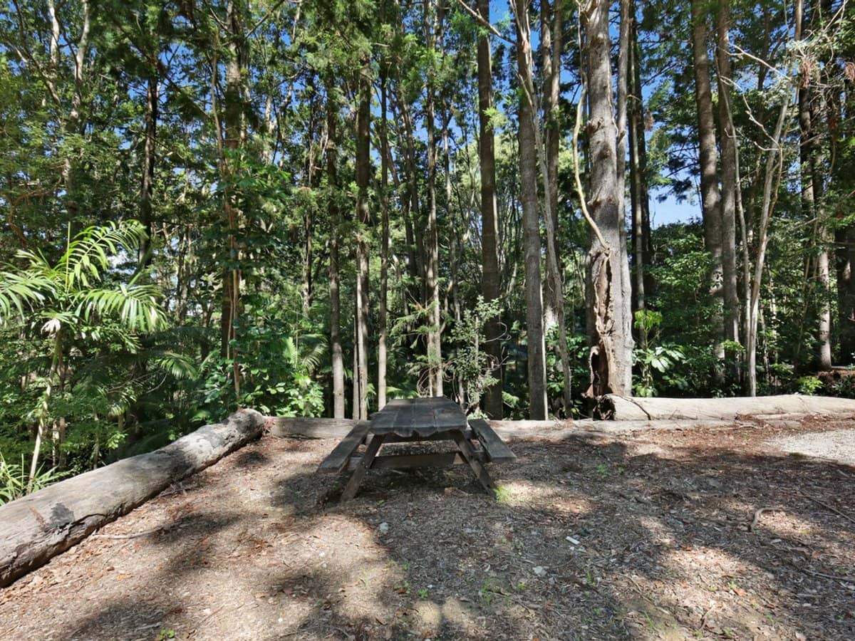 501 Tallebudgera Connection Road, Currumbin Valley - Thumbnail 14