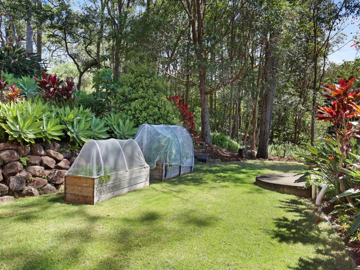 463 Trees Road, Tallebudgera - Thumbnail 32