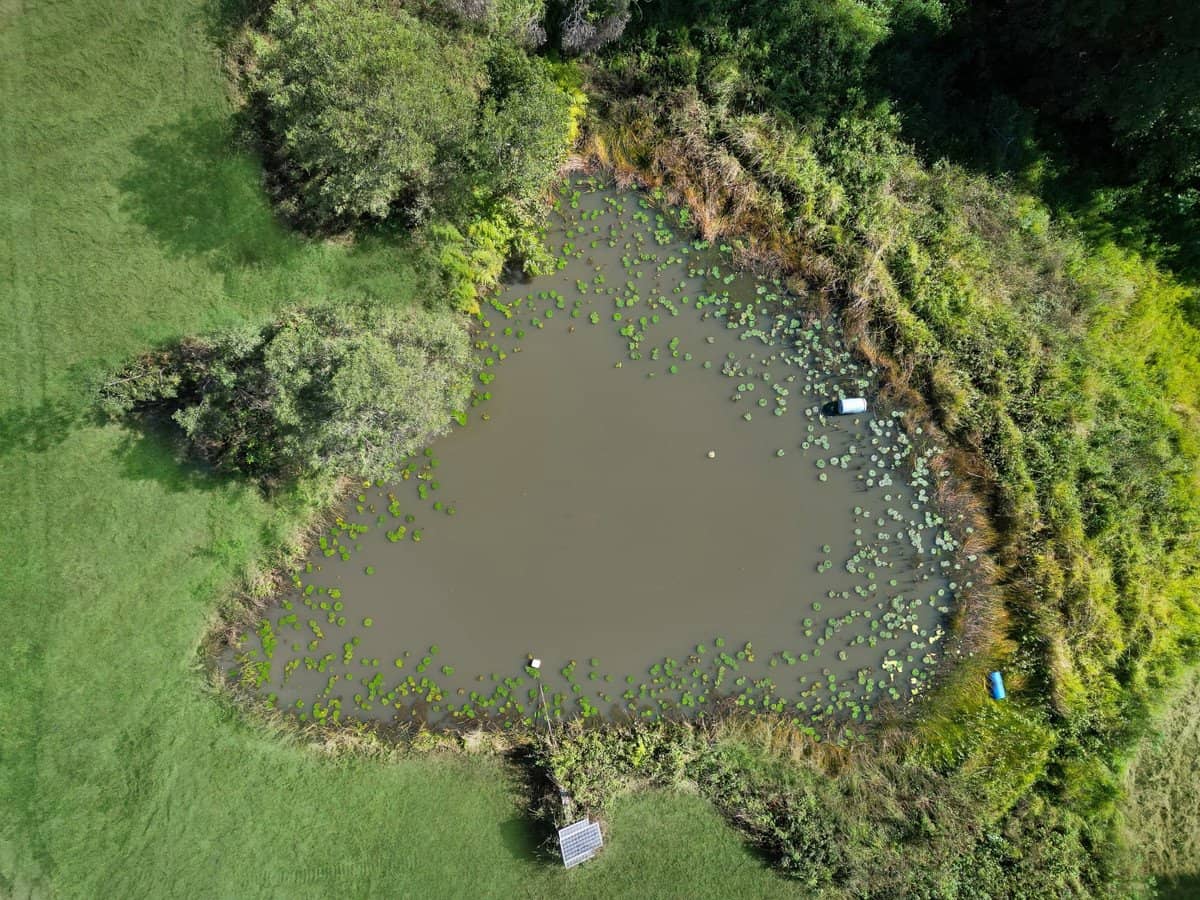 422A Tallebudgera Connection Road, Tallebudgera - Thumbnail 17