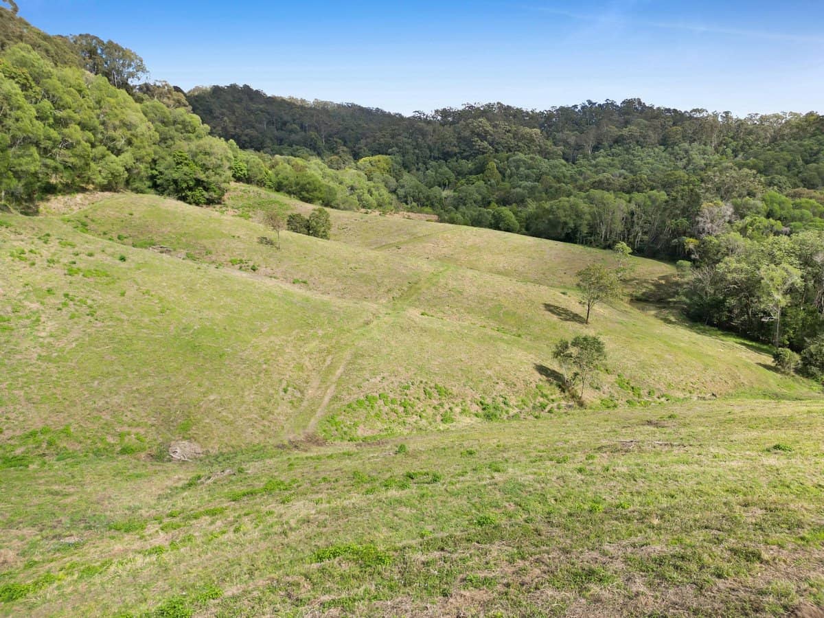 422A Tallebudgera Connection Road, Tallebudgera - Thumbnail 16