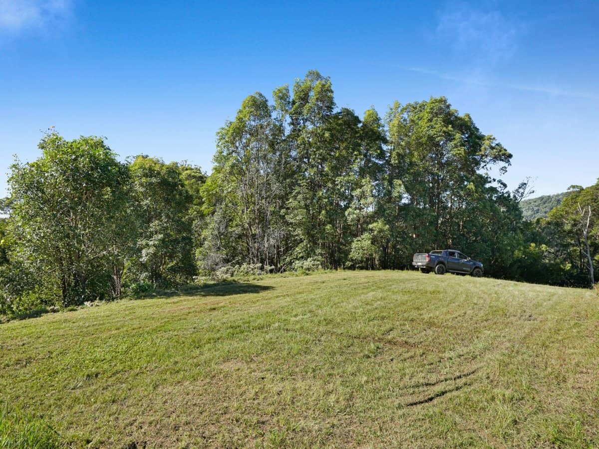 1310 Currumbin Creek Road, Currumbin Valley - Thumbnail 27