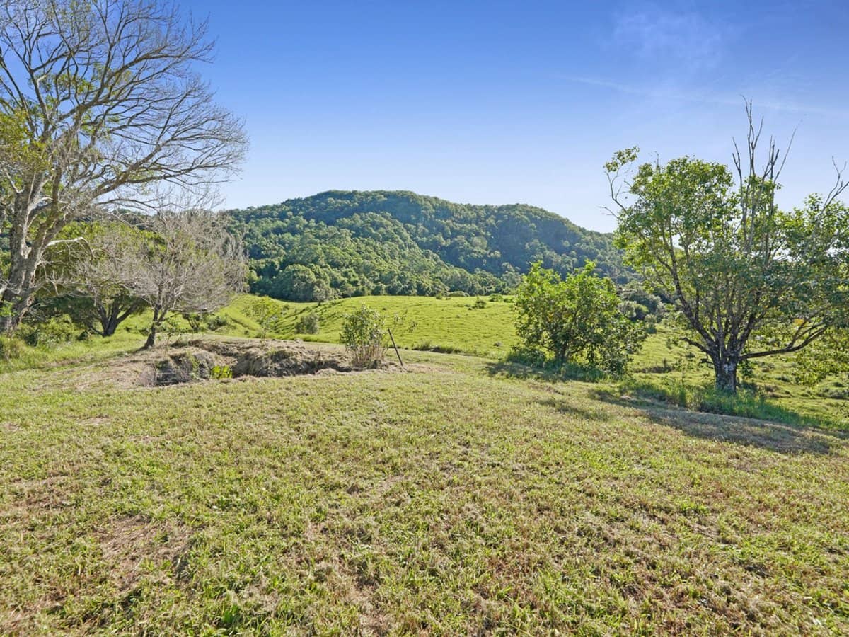 1310 Currumbin Creek Road, Currumbin Valley - Thumbnail 31