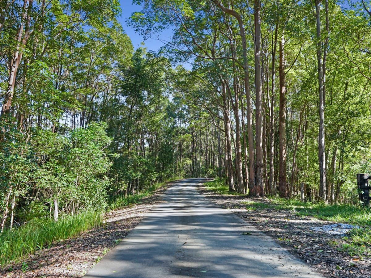 1310 Currumbin Creek Road, Currumbin Valley - Thumbnail 32